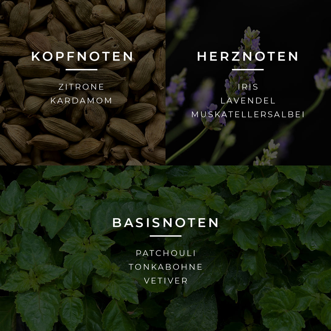 Honor Duftpyramide mit Top-, Mittel- und Basisnoten