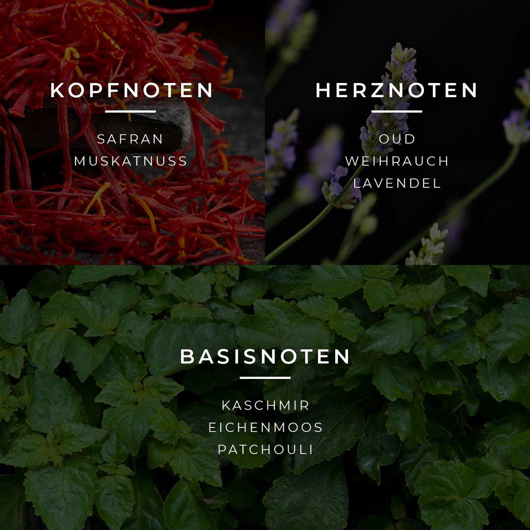 Lord Duftpyramide mit Top-, Mittel- und Basisnoten
