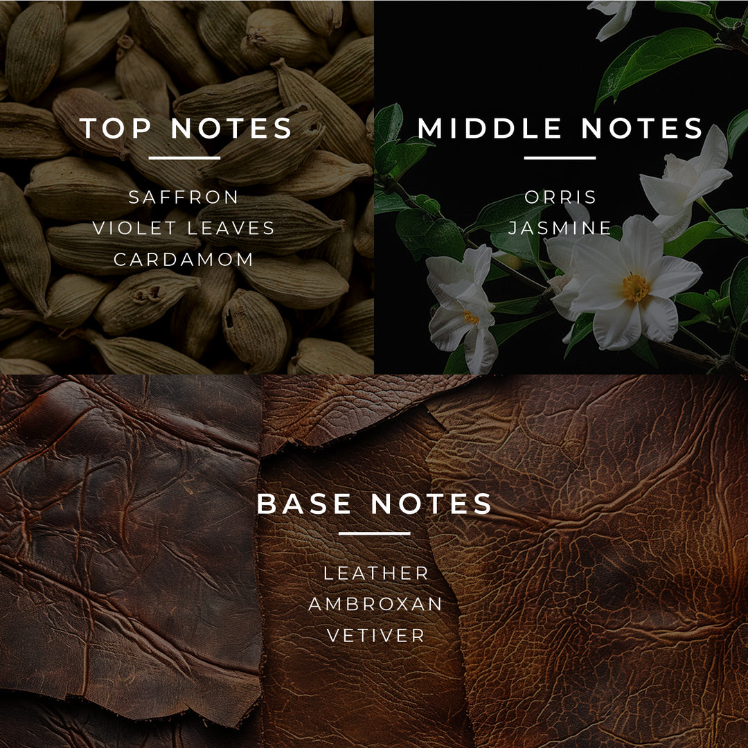 Duftpyramide Sceptre mit Top-, Mittel- und Basisnoten auf englisch