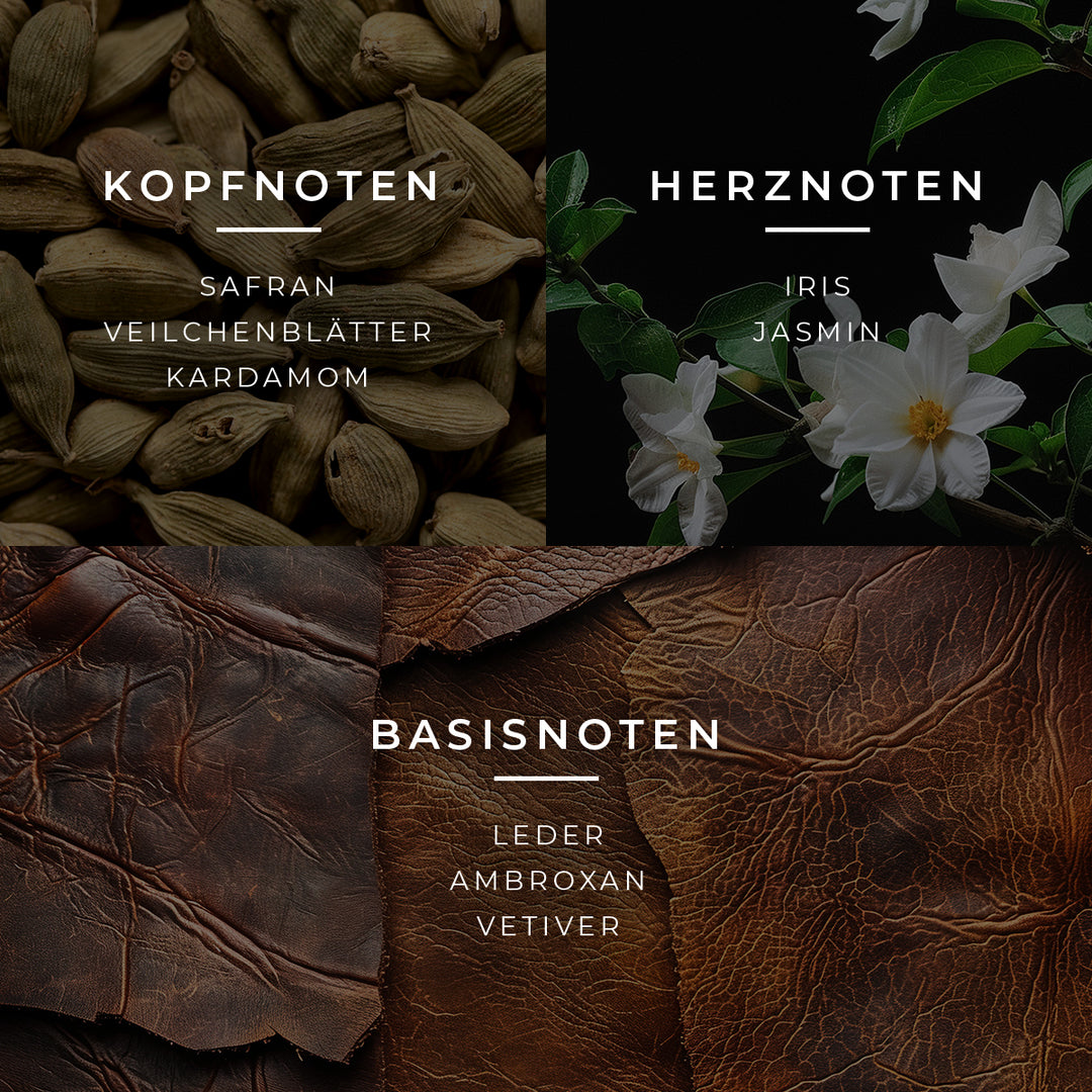 Sceptre Duftpyramide mit Kopf-, Herz- und Basisnoten