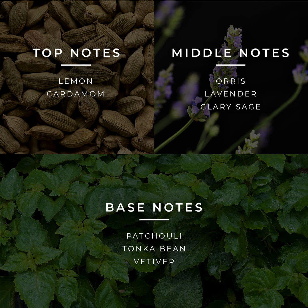 Duftpyramide von Honor englisch