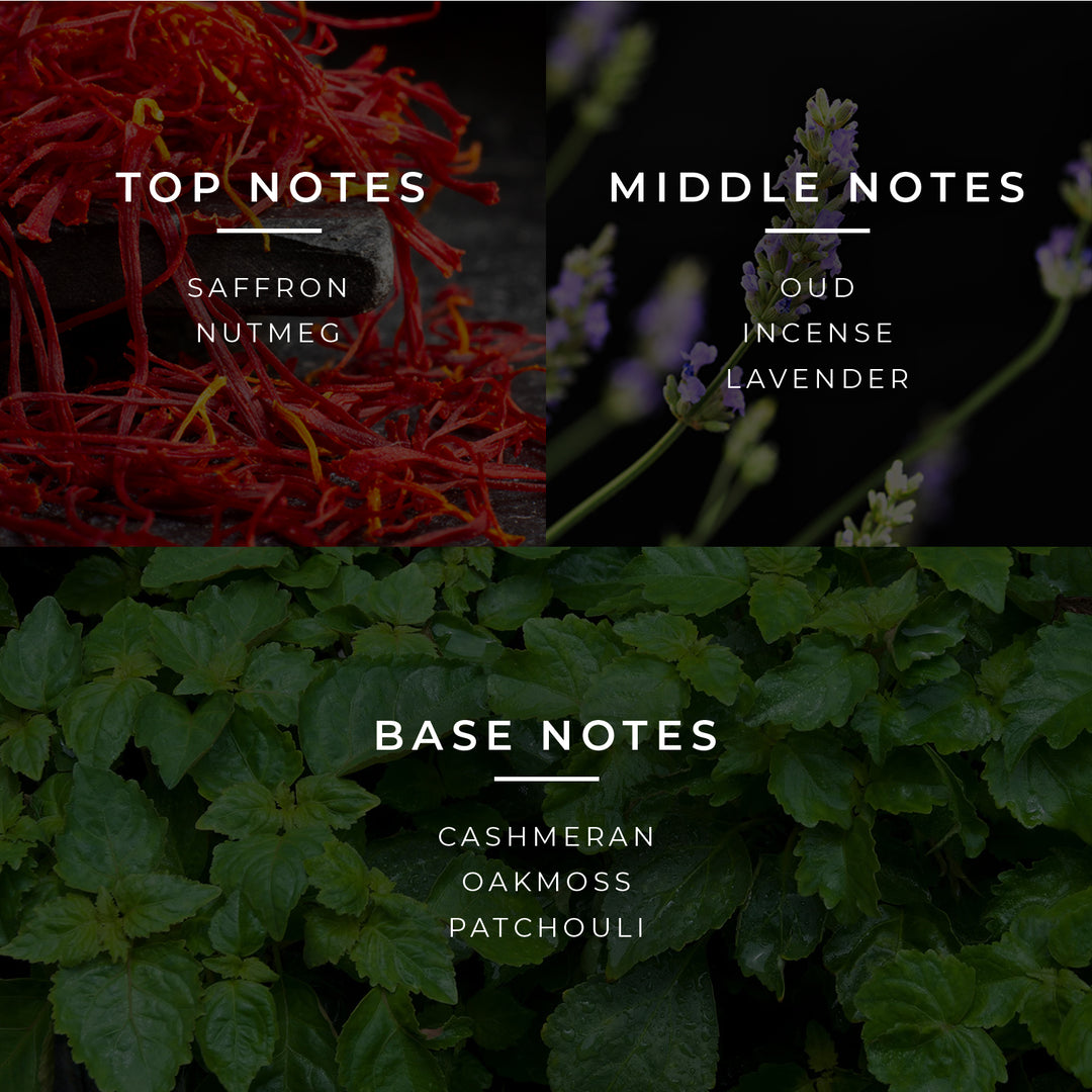 Duftpyramide Lord mit Top-, Mittel- und Basisnoten auf englisch